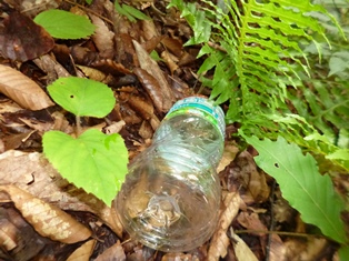 登山道脇に捨てられたペットボトル