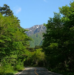 新緑の大山