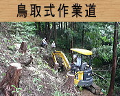 鳥取式作業道
