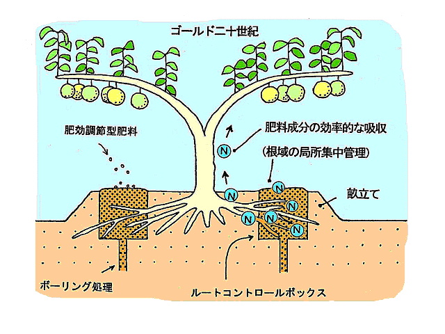 土壌管理