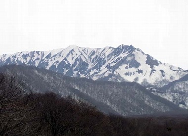 山肌の昇竜、パンダ、クマ