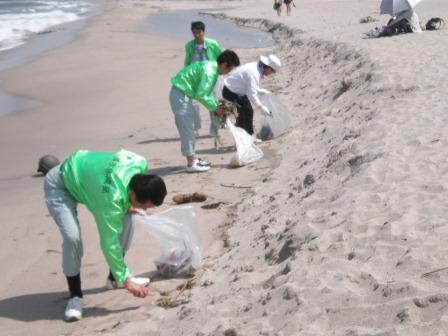 砂浜を清掃しています