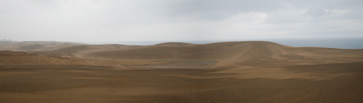 「馬の背」の風景－ダイナミックな砂丘