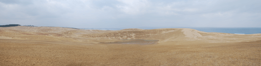「馬の背」の風景－穏やかな砂丘です
