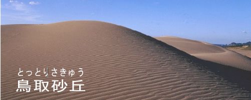 鳥取砂丘