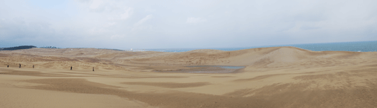 「馬の背」の風景－強風で砂が飛ばされています