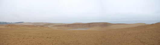 「馬の背」の風景－砂丘は小雨のなかにあります