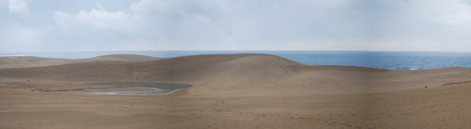 ２０１３０２２３朝の砂丘