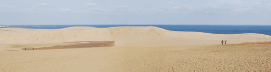 ３月１６日の朝の砂丘の様子
