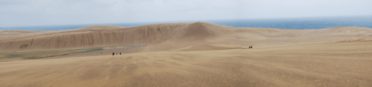 4月3日朝の砂丘の様子