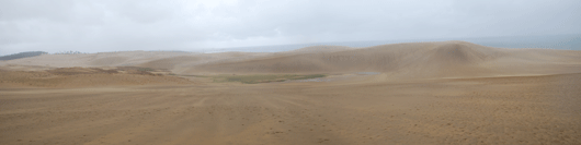 「馬の背」の風景－砂が飛びかっています