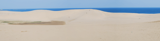 4月13日朝の砂丘