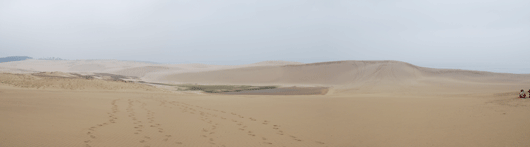 「馬の背」の風景－乾燥した砂が広がっています