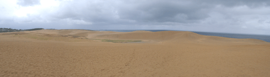 「馬の背」の風景－砂丘は、小雨にぬれています