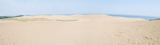 「馬の背」の風景－乾燥した砂がつながっています