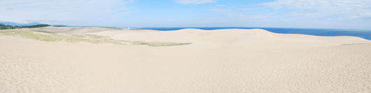 「馬の背」の風景－砂は、すっかり乾燥しています