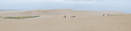 6月13日朝の砂丘の様子