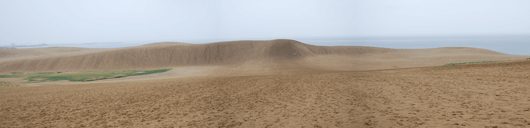 6月21日朝の砂丘の様子