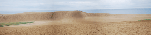 ６月２２日の朝の砂丘の様子