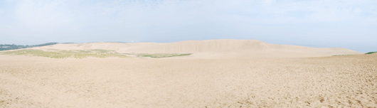 「馬の背」の風景－白砂の第二砂丘列です