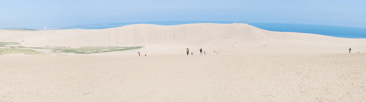 ６月２９日朝の砂丘