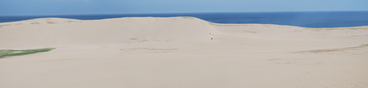 7月6日朝の砂丘の様子