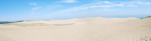 「馬の背」の風景－白砂が横たわっています
