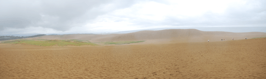 「馬の背」の風景－湿り気を含んだ砂が広がっています