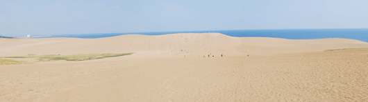 7月25日朝の砂丘の様子