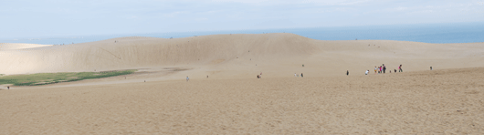 8月4日朝の砂丘