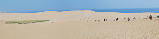 8月15日朝の砂丘の様子