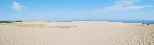 「馬の背」の風景－乾燥した白砂が広がっています