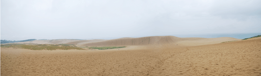 「馬の背」の風景－雨にぬれた砂が広がっています