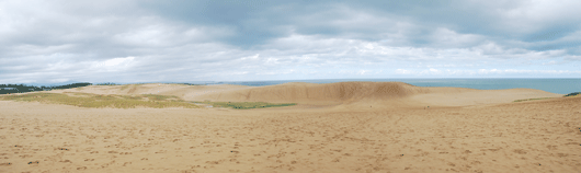 「馬の背」の風景－水を含んだ砂が広がっています