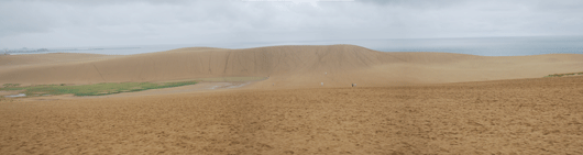9月8日朝の砂丘の様子