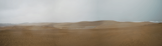 「馬の背」の風景－強い風が吹くなか、小雨に濡れた砂が広がっています