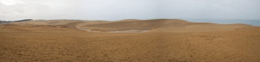 「馬の背」の風景－静かな砂丘では、日本海の波の音だけが聞こえています