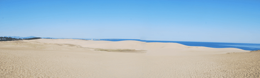 「馬の背」の風景－白砂が広がる砂丘の向こうには紺青の日本海が見えています