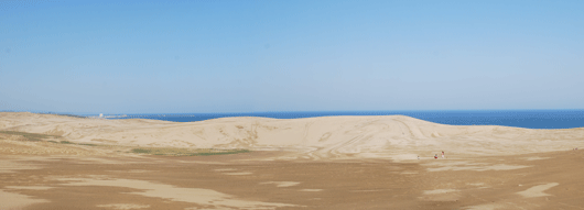 「馬の背」の風景－大荒れ後の鳥取砂丘です