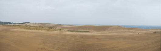 「馬の背」の風景－強い南寄りの風が吹いており、砂丘表面には風が通り抜ける跡が残っています