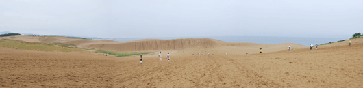 今朝の砂丘
