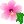 花のマーク