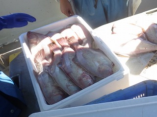箱詰めされた魚