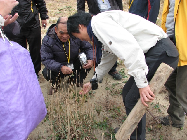 野外学習植物２