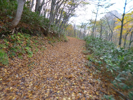 中国自然歩道