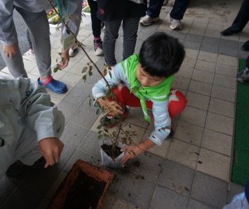 植え替え作業