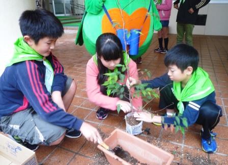 苗木の植替え作業