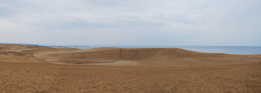「馬の背」の風景－静かな砂丘