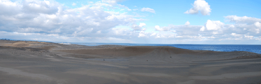 「馬の背」の風景－ゼブラ模様