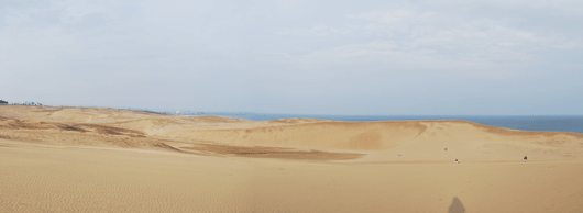 「馬の背」の風景－ゼブラ模様と風紋